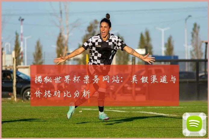 揭秘世界杯票务网站:真假渠道与价格对比分析