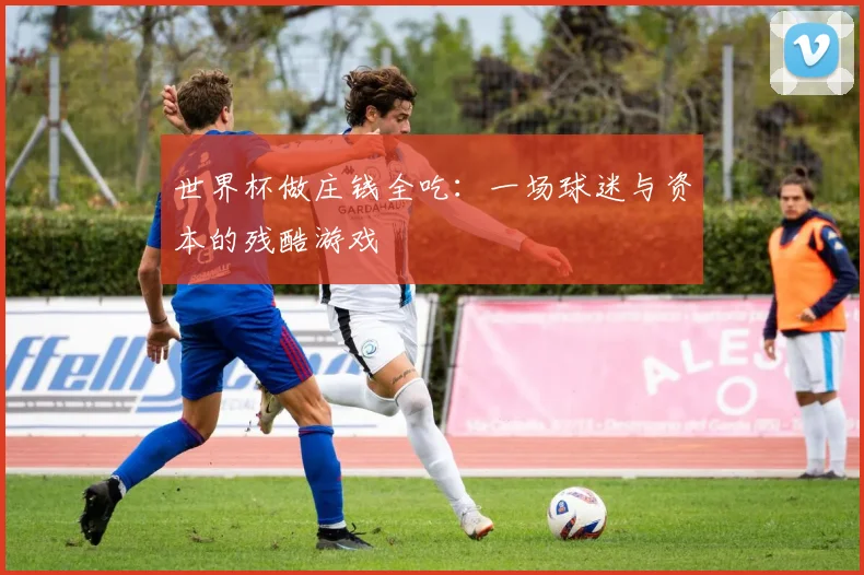 世界杯做庄钱全吃:一场球迷与资本的残酷游戏