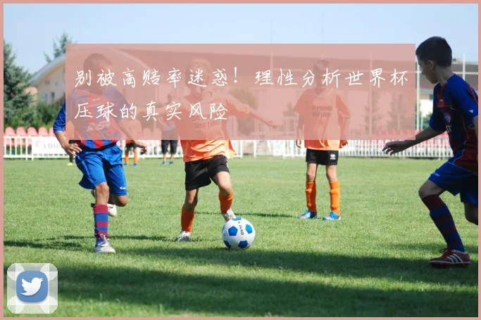 别被高赔率迷惑!理性分析世界杯压球的真实风险