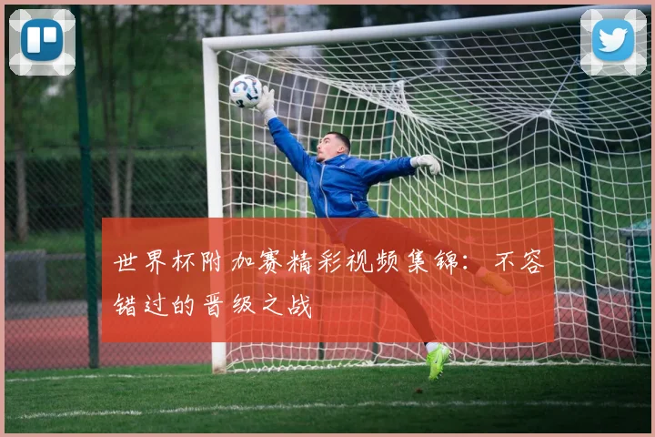 世界杯附加赛精彩视频集锦：不容错过的晋级之战