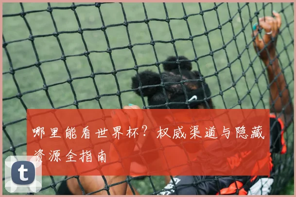 哪里能看世界杯？权威渠道与隐藏资源全指南
